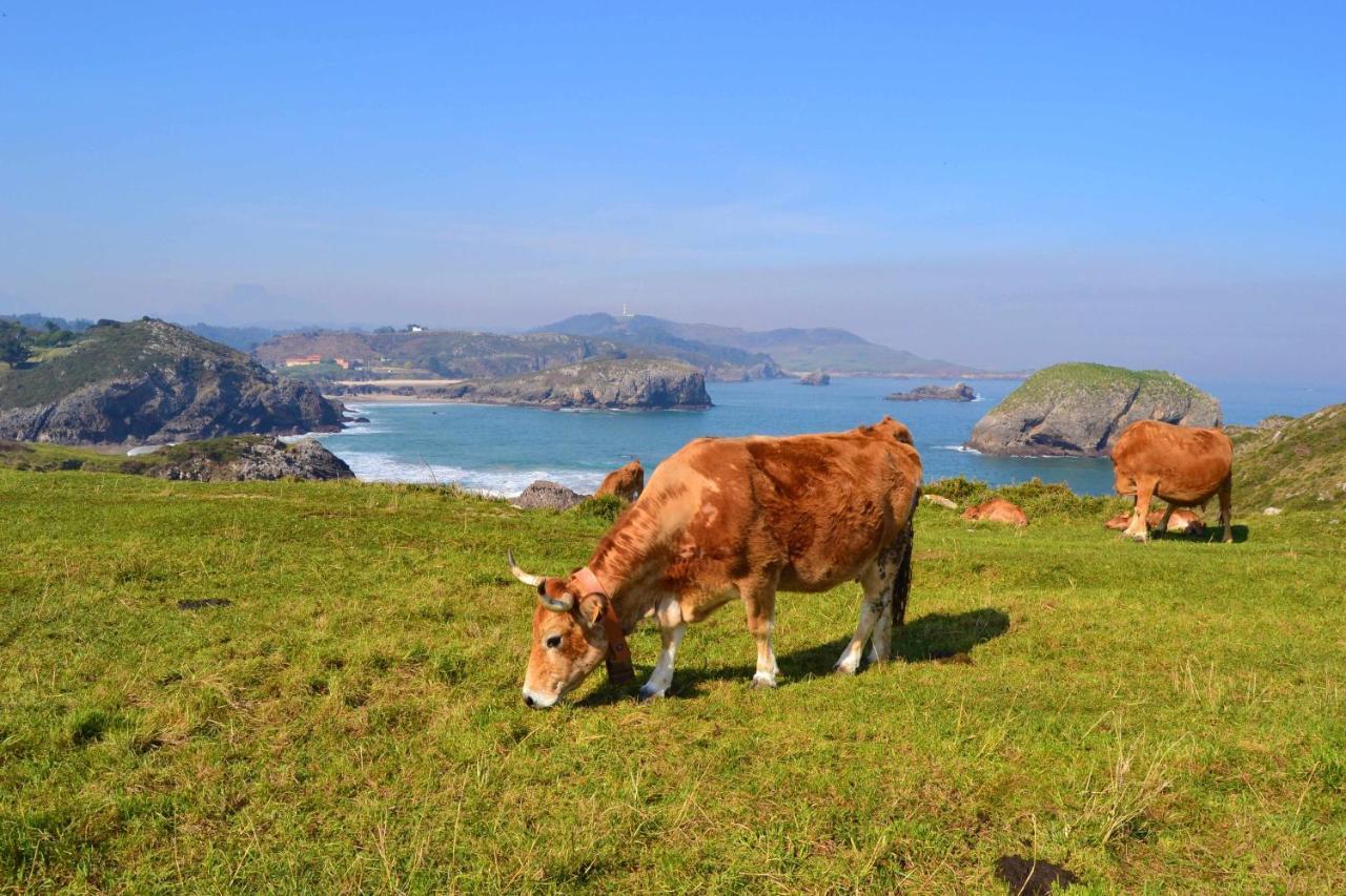 Vila Casa Palo Balcon A Picos De Europa Arriondas Exteriér fotografie